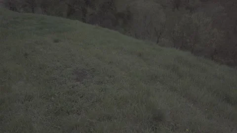 Spring wild landscape Video stock 231430383