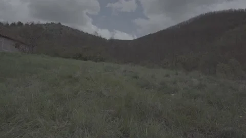 Spring wild landscape Stock Footage 231430449