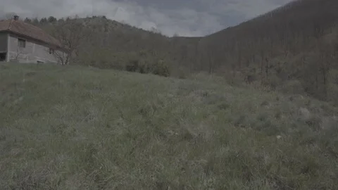 Spring wild landscape Video stock 231430662