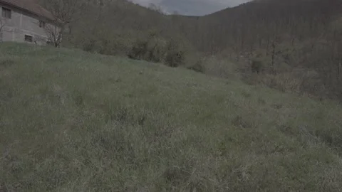 Spring wild landscape Video stock 231430738