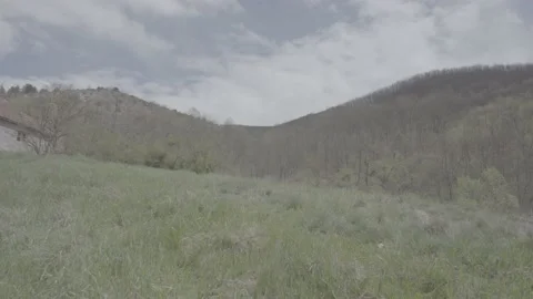 Spring wild landscape Video stock 231431115