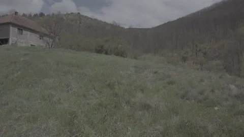 Spring wild landscape Video stock 231431226