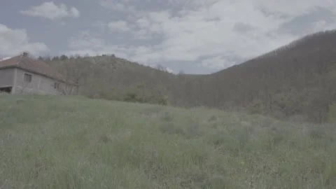 Spring wild landscape Stock Footage 231431357