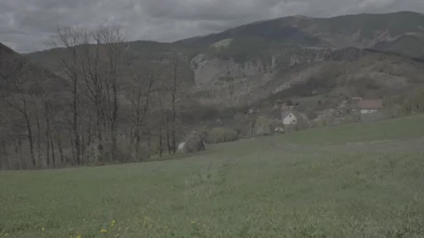 Spring wild landscape Stock Footage 231431543