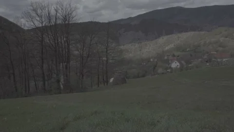 Spring wild landscape Stock Footage 231431545