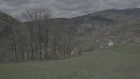 Spring wild landscape Stock Footage 231431728