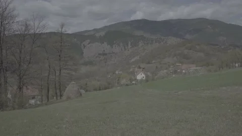 Spring wild landscape Stock Footage 231432444