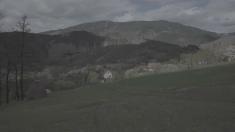 Spring wild landscape Stock Footage 231432467