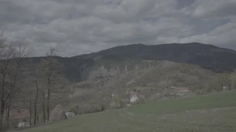 Spring wild landscape Stock Footage 231432812