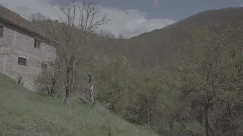 Spring wild landscape Stock Footage 231432970