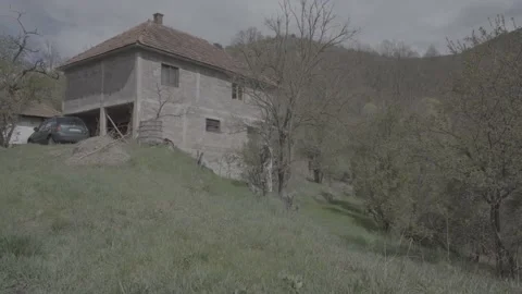 Spring wild landscape Stock Footage 231433112