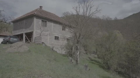 Spring wild landscape Stock Footage 231433166