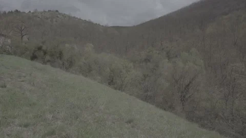 Spring wild landscape Stock Footage 231433273