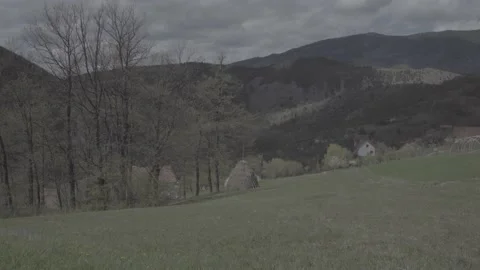 Spring wild landscape Stock Footage 231435931