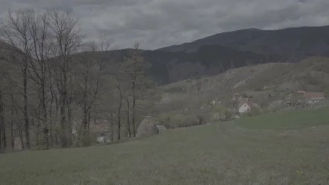 Spring wild landscape Stock Footage 231436222