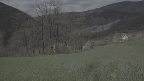 Spring wild landscape Stock Footage 231436534