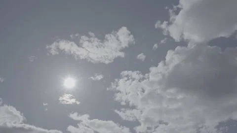 Spring wild landscape Stock Footage 231438555