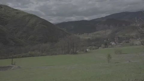 Spring wild landscape Stock Footage 231438857