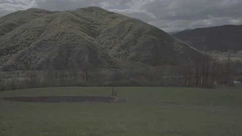 Spring wild landscape Stock Footage 231440065