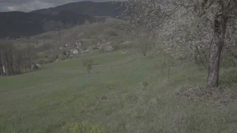 Spring wild landscape Stock Footage 231440128