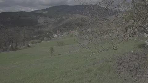 Spring wild landscape Stock Footage 231440201
