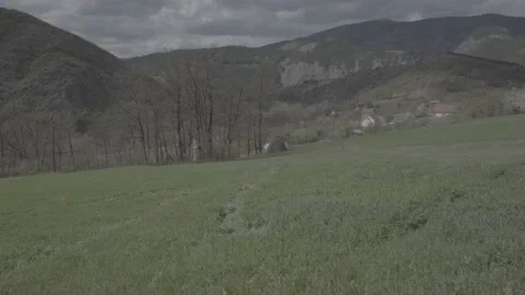 Spring wild landscape Stock Footage 231440221