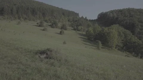 Spring wild landscape Stock Footage 231440243