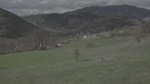 Spring wild landscape Stock Footage 231440440