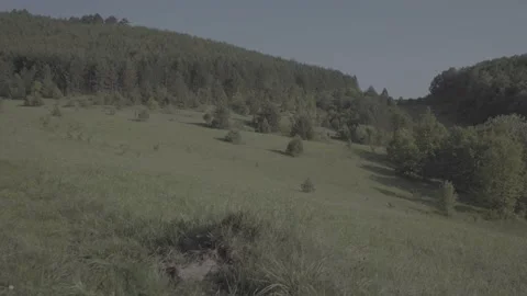 Spring wild landscape Stock Footage 231440466