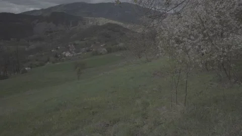 Spring wild landscape Stock Footage 231440538