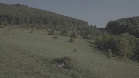 Spring wild landscape Stock Footage 231441445