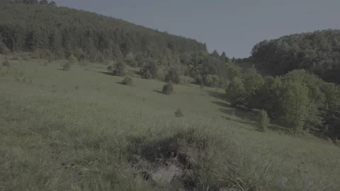 Spring wild landscape Stock Footage 231441474