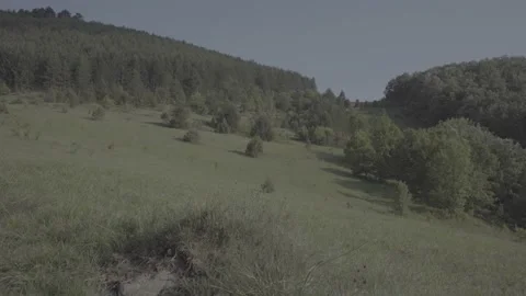 Spring wild landscape Stock Footage 231441475