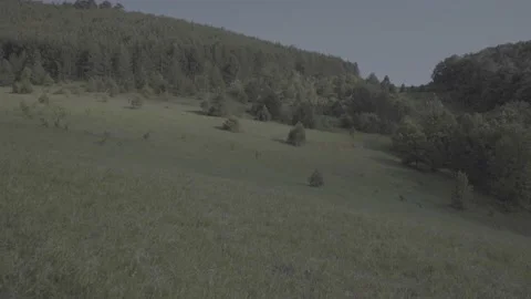 Spring wild landscape Stock Footage 231441510