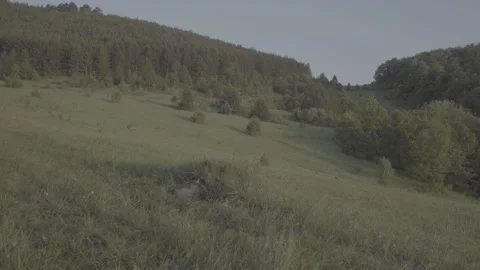 Spring wild landscape Stock Footage 231442917