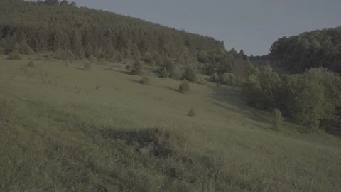 Spring wild landscape Stock Footage 231444105