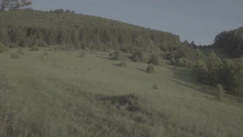 Spring wild landscape Stock Footage 231444248