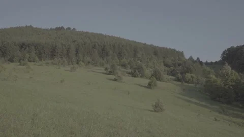 Spring wild landscape Stock Footage 231444330