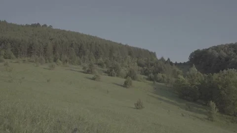 Spring wild landscape Stock Footage 231444844