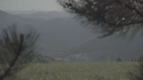 Spring wild landscape Stock Footage 231445368