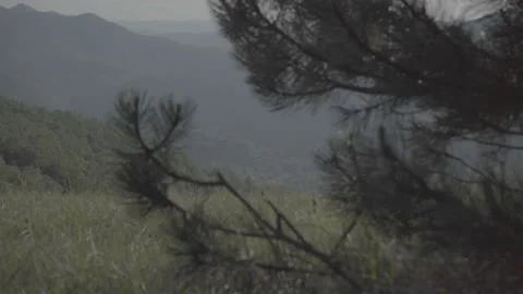 Spring wild landscape Stock Footage 231445377