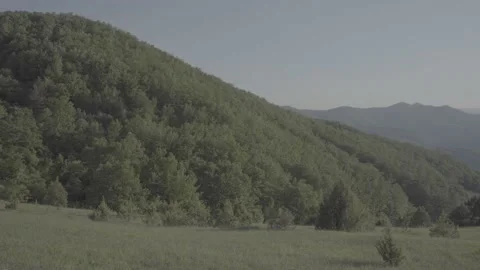 Spring wild landscape Stock Footage 231445466