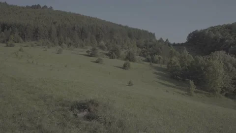 Spring wild landscape Stock Footage 231446143