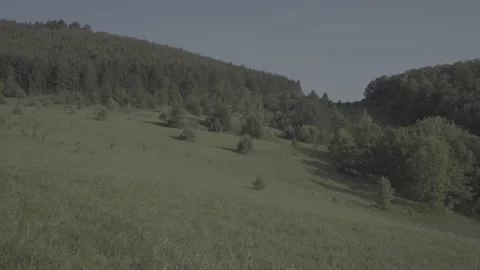 Spring wild landscape Stock Footage 231446683