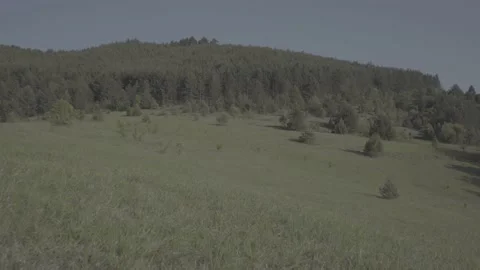 Spring wild landscape Stock Footage 231446739