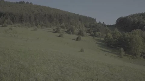 Spring wild landscape Stock Footage 231446822