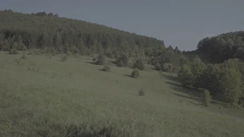 Spring wild landscape Stock Footage 231447158