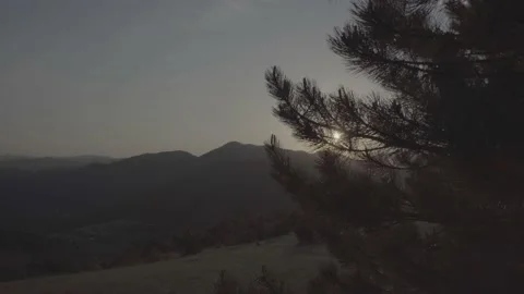 Spring wild landscape Stock Footage 231447296