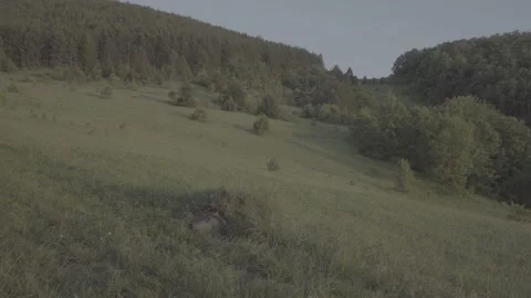 Spring wild landscape Stock Footage 231447383