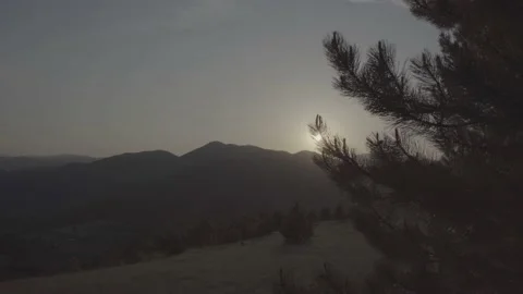 Spring wild landscape Stock Footage 231447766